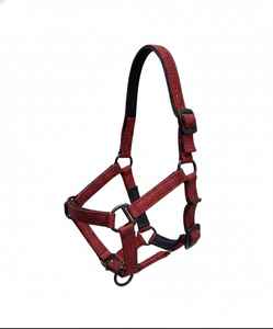 Harnais en cuir pailleté personnalisé |   Harnais équestre réfléchissant et scintillant |   Sangle en toile haute densité durable de style selle anglaise - Product Image 2