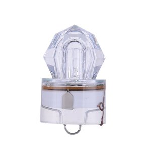 Lampe LED portable de qualité commerciale pour la pêche sous-marine, attirant les poissons, idéale pour la pêche au <span class=keywords><strong>thon</strong></span>, la pêche en palangre et la pêche en eau profonde en lac - Product Image 4