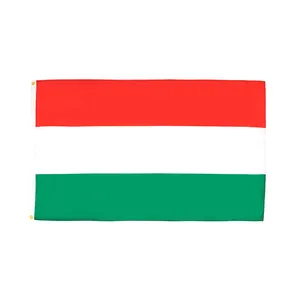 Euro 2024 Hot Selling 100% Duurzaam Polyester 90X150Cm Aanpassen 3X5 Ft Vlag Hongerige Vlag Van Hongarije