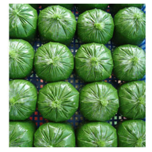 Feuille de manioc congelée Feuilles fraîches de haute qualité pour ragoût de saka emballées avec des nutriments et des saveurs audacieuses pour la cuisine traditionnelle - Product Image 3