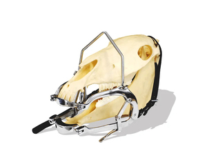 Separador Dental para Caballos, Barra de Arco para Espectroscopio Bucal Equino, Instrumento Veterinario de Odontología de Acero Inoxidable Reutilizable - Product Image 1