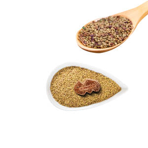 Luzerne | Herbe à haute teneur en protéines | Utilisation de la consommation animale - Product Image 2