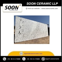 Dalle de granit blanc flammé moderne pour comptoirs, mosaïques, applications murales et de sol intérieures et extérieures