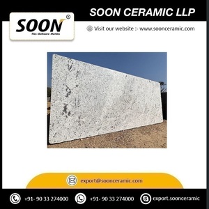 Dalle de granit blanc forêt de pierre naturelle pour les comptoirs Mosaïque Extérieur Intérieur Mur et sol Applications - Product Image 2