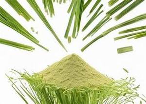 HIERBA DE LIMÓN NATURAL PURA EN POLVO FÓRMULA LIMPIA A BASE DE PLANTAS REFUERZO DEL CUIDADO INMUNE - Product Image 3