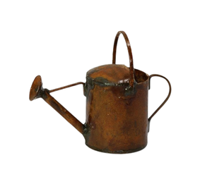 Regaderas de acero inoxidable doradas con estilo para plantas domésticas, lata de agua de pico largo para bonsái, jardín, flores, agua de aspersión - Product Image 3