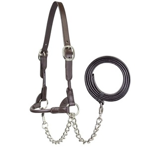Cabestro de Cuero Redondo de Primera Calidad, Nuevo y Mejorado, con Cadena a Juego - Product Image 3