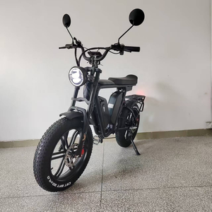Vélo électrique avec moteur 1000W, batterie double 44Ah, vélo tout-terrain - Product Image 2