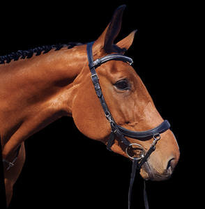 Bride anatomique avec flash amovible en cuir marron Bride Fabricant Dressage anatomique Snaffle Indian - Product Image 5