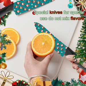 Couteau à lame en céramique personnalisé 2026, 2 ensembles, couteau d'extérieur, manche en plastique pour le débroussaillage, utilisation en milieu sauvage, stock gratuit, livraison gratuite - Product Image 5