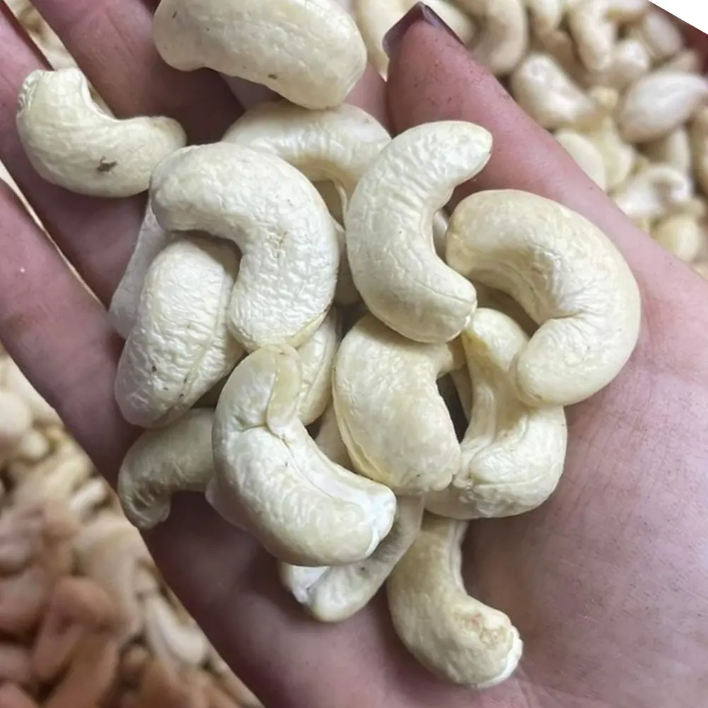 Урожай год 2024 орехи вьетнамские орехи кешью Kaju с бесплатным налогом онлайн 24/7