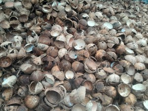 Coquille de noix de coco séchée brute du fabricant vietnamien Coquille de noix de coco cassée pour la production de charbon de bois - Product Image 6