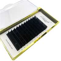 Extensions de cils noirs courbés en D 13mm 0.07 Fibres de cils PBT faites à la main pour greffe en salon