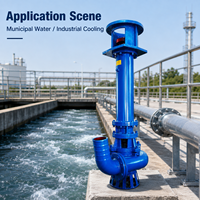 Pompe à boue submersible verticale IP68, robuste, haute pression, résistante à l'usure, pour le désassainissement des rivières, les centrales électriques et les réservoirs de cendres, OEM