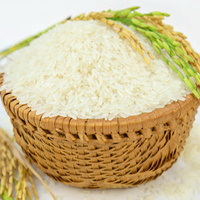 Riz long grain de jasmin du Vietnam, prix compétitif, norme internationale, 20 kg