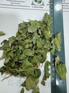 Laura Qualité supérieure Feuille de laurier unique Cuisson sèche des aliments Offre Spéciale épices et herbes crues Processus de séchage AD - Product Image 2