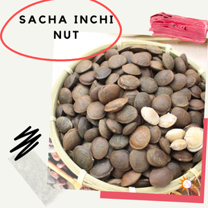 Nueces naturales de Sachi Inchi de Vietnam, proveedor de alta calidad con precio competitivo 2022 - Product Image 4