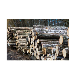 High Quality Brazilian Beech <b>Wood</b> <b>Log</b> Shaving Machine Saw for Beech 7 & 8 56m Diameter Round Disc for Horse Bedding - Product Image 5