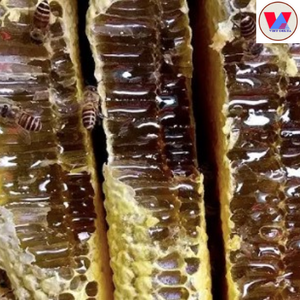 Gâteau nutritif en nid d'abeille du Vietnam au meilleur prix emballé en bouteille-Ms. Lucinda - Product Image 3