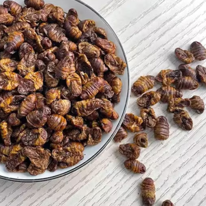 PUPAE DE GUSANO DE SEDA TOSTADO PARA LA INDUSTRIA DE ALIMENTOS SNACK | CALIDAD DE EXPORTACIÓN - Product Image 4