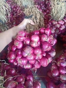 Anneaux d'échalote congelés | Ingrédient aromatique | Usine du Vietnam - Product Image 3