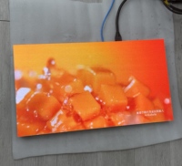 Module d'affichage LED alimenté par une batterie externe RGX, écran LED portable pour la publicité mobile et l'affichage d'événements