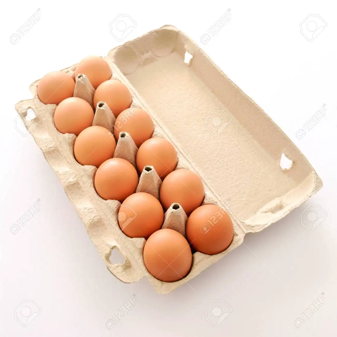 Best Quality Hot Sale Price White / Brown Shell Fresh Table Chicken Eggs