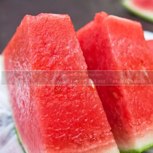 ผลไม้แตงโมสดคุณภาพสูงจากเวียดนามในราคาที่ดีที่สุดพร้อมรสหวานสดชื่น - Product Image 2