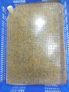 Fruta de la Pasión congelada Origen de Vietnam Alta calidad Mejor precio Proveedor directo de fábrica Estándar de exportación - Product Image 6