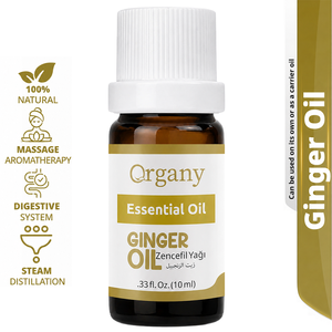 100% Pure <b>Ginger</b> Essential Oil Zingiber Officinale Steam Distilled Wholesale Private Label OEM for Massage Warming Aromatherapy - Product Image 1