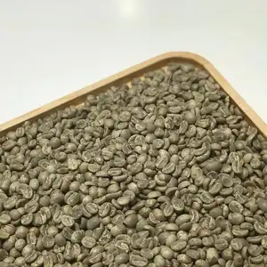越南新到汉咖啡高级100% 罗布斯塔绿豆-60千克/jutebag-ODM/OEM