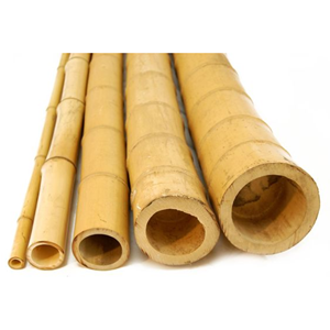 Palos de bambú Precio al por mayor Postes de bambú crudo para decoración de jardinería y usos de construcción de Vietnam - Product Image 1