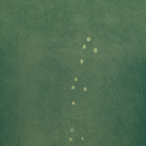 Wholesale Blank <b>Acid</b> Washed <b>Drop</b> Shoulder Regular Fit 100% Cotton Eco-Friendly Breathable High Street Short Sleeve Custom Logo - Product Image 2