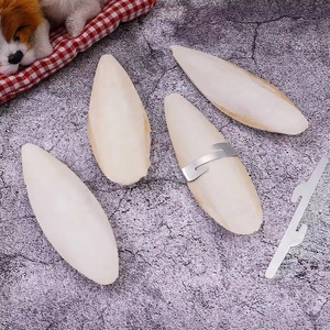 Suministro a granel de huesos de sepia para pájaros, fabricante de accesorios para pájaros, hueso de sepia con soporte, hueso de sepia natural - Product Image 1