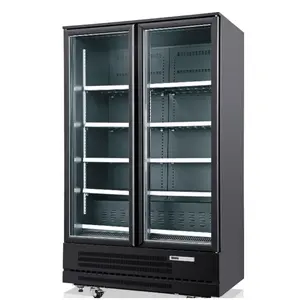 Kenkuhl Plug-in Visi Cooler da supermercato con Display verticale refrigeratore per vetrine per porta commerciale frigorifero