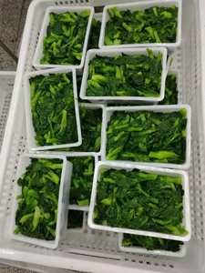 Fournisseur du Vietnam Feuille de radis congelé IQF Naturel pur Approvisionnement en gros sans OGM - Product Image 6