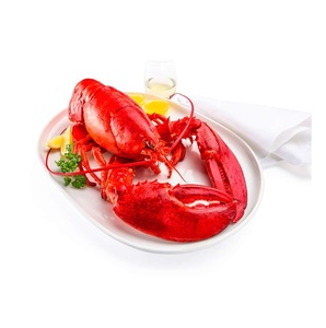 ผู้จัดจำหน่ายขายส่งกุ้งมังกรอเมริกันสด/แช่แข็ง จำนวนมาก จัดส่งรวดเร็ว - Product Image 6