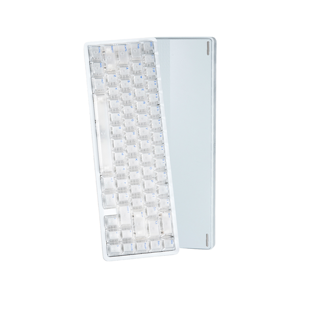 IPI Rain65 Magnetic Switch Keyboard Wired RGB 8000Hz 0.125ms Delay Cnc Shell Hot Swap Gaming Mechanical Keyboard Gamer Custom