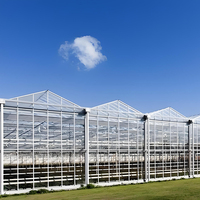 Serre commerciale pour fraises en Europe, 8x30m, système hydroponique, contrôle climatique automatique, conception à haut rendement, serre en polycarbonate