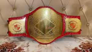 Cinturones de Campeonato Personalizados! Cinturón Intercontinental de Bulldog Inglés 2025 - Product Image 6