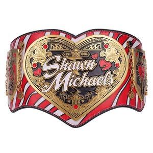 เข็มขัดแชมป์มวยปล้ำแบบดั้งเดิมออกแบบได้ตามที่ต้องการ - Product Image 1