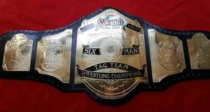 Fabricante Profesional de Entrenadores de Gimnasio de Artes Marciales Mixtas, Boxeo y Lucha Libre, Ajustables, Resistentes, de Acero Inoxidable y Ligeros - Product Image 6