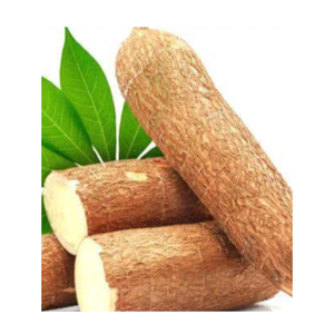 Qualité supérieure pour le manioc congelé, tapioca concassé congelé, coupe de manioc frais congelé, forme entière, manioc pelé congelé IQF - Product Image 4