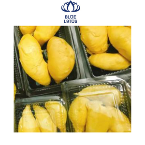 Prix compétitif de la crème glacée du Vietnam - Product Image 2