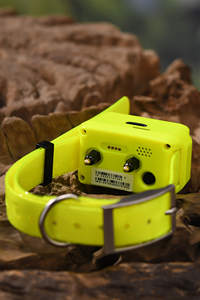 IK122T PRO Gooxota caza perro Gps <span class=keywords><strong>Collar</strong></span> soporte e-shock perro ladridos detección IP68 impermeable 4G Icar Hound perro GPS - Product Image 4