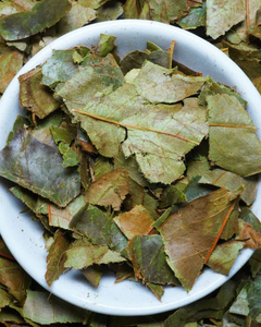 Hojas de guanábana secas para té de hierbas a precio competitivo - Product Image 1