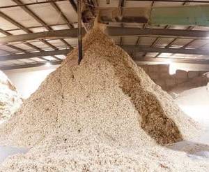 First Class Premium Wood Shaving High Quality Natural <b>Bedding</b> for Agriculture Livestock and Pet Care Ultimate Export Opportunity - Product Image 2