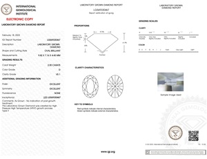 2 Carat Excellente Coupe Forme Ovale Blanc D Couleur VS1 Clarté Diamants en vrac pour la fabrication de bijoux Diamants synthétiques de haute qualité - Product Image 2