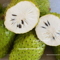 Hoogwaardige Verse Zuurzak (Graviola) Voor Groothandel Export