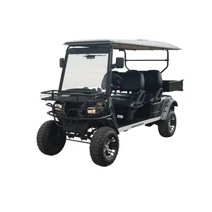 Luxury Zone Electric Golf Cart 4 Seater Street Legal LED Lights Golf Buggy Electric with Lift Seat Sightseeing Car